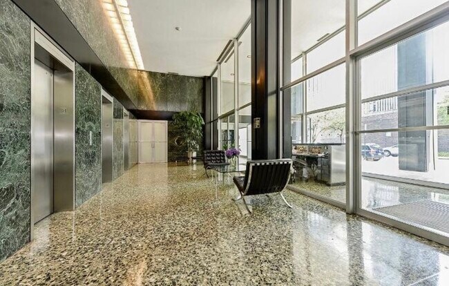 Building Photo - 900 N Lake Shore Dr