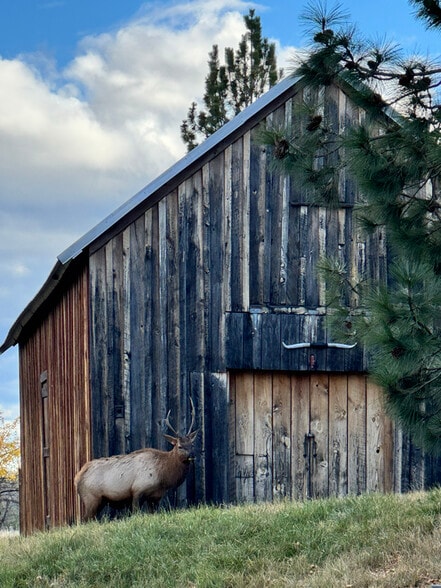 Building Photo - 2920 Curlew Mine Rd