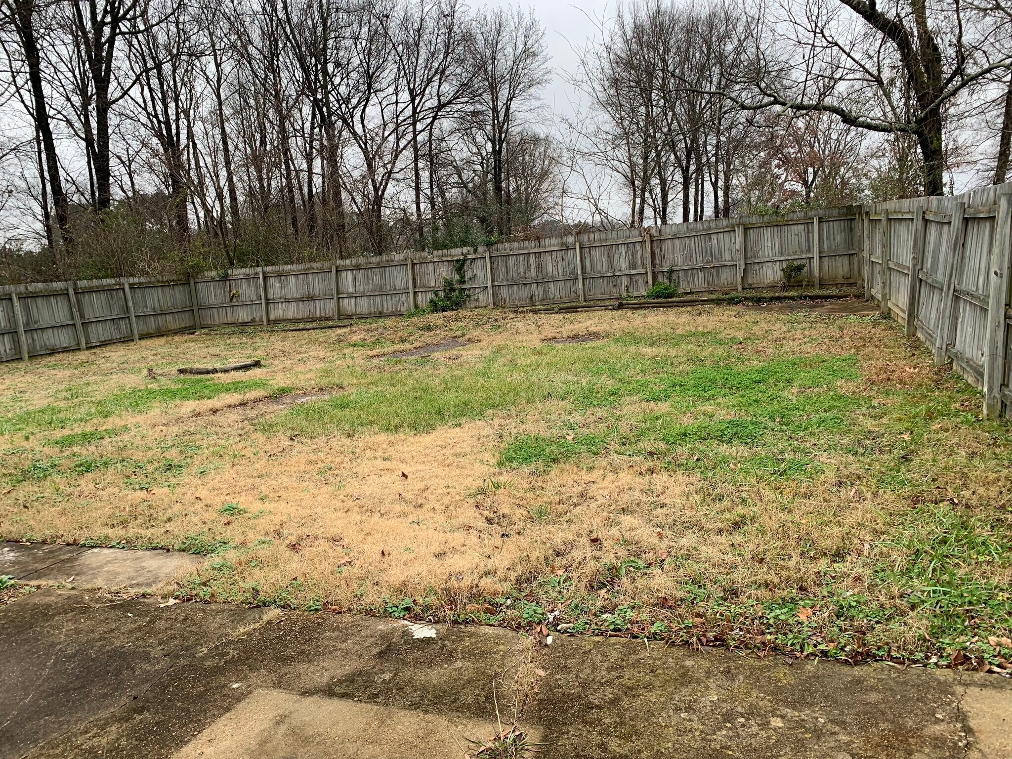 Building Photo - 534 Brockwood Ave