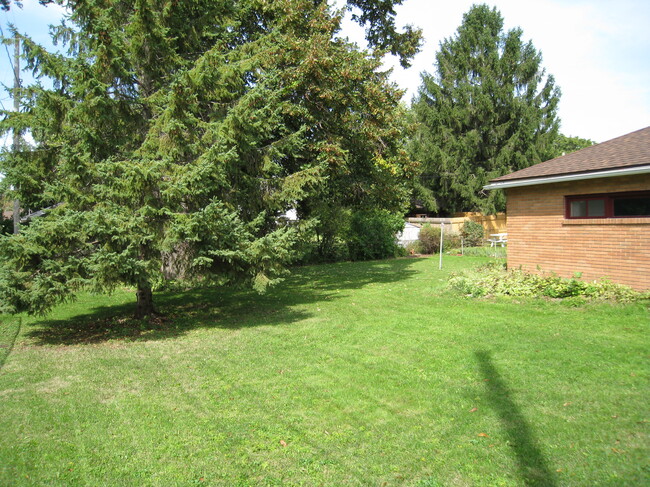 Backyard - 1026 Midland St