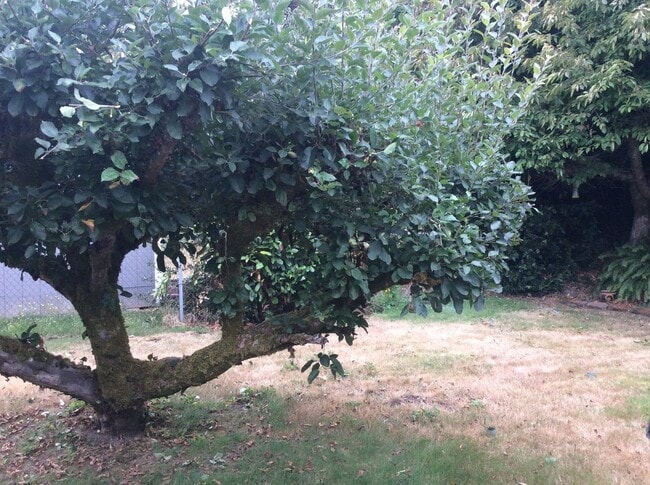 Building Photo - 6555 Dash Point Blvd NE