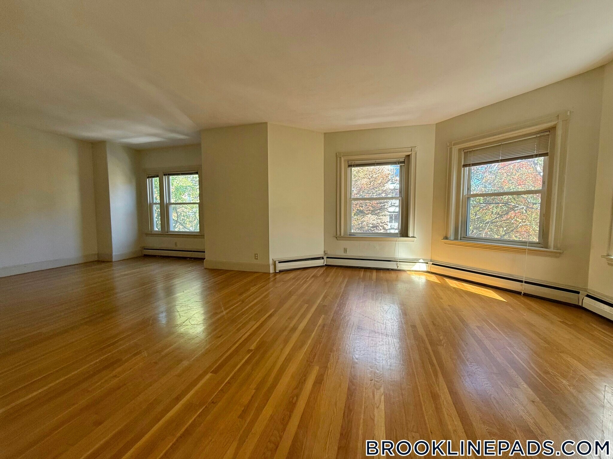 Building Photo - 16 Winchester St