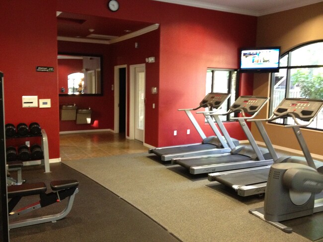 State of art fitness gym with TV's & dressing room & bathroom - 11640 N Tatum Blvd