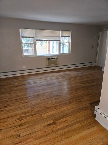 living room - 1714 W Touhy Ave
