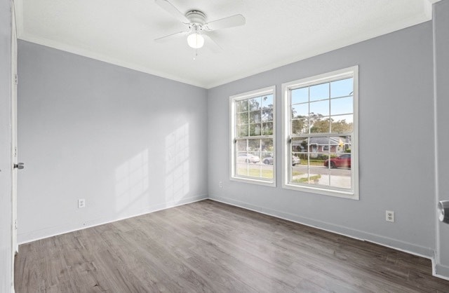 Building Photo - beautifully remodeled 4-bedroom, 2-bathroo...