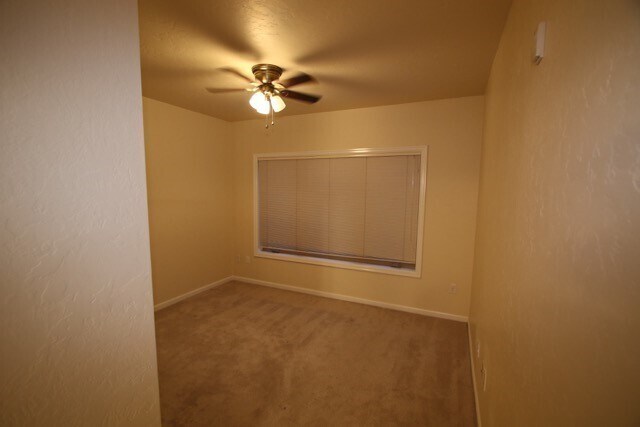 Building Photo - 2 Bedroom Condo close to Downtown and Shop...