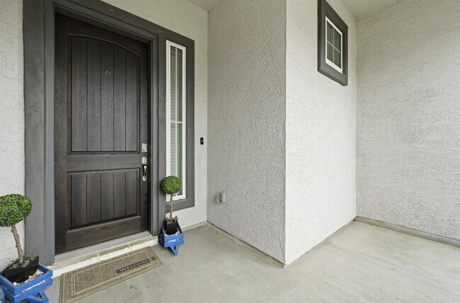 Building Photo - 169 Soft Elm Dr