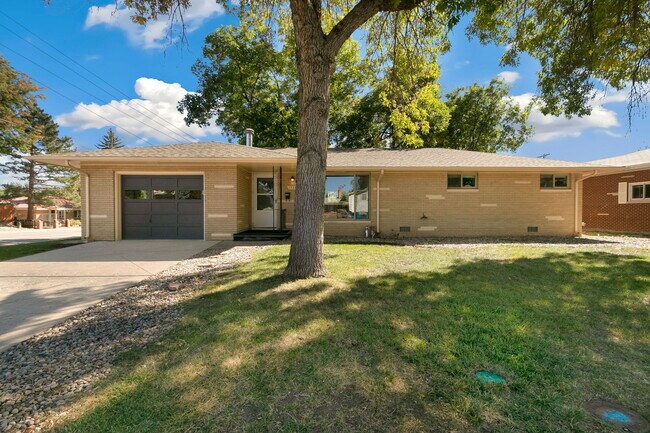 Primary Photo - 1726 Cameo