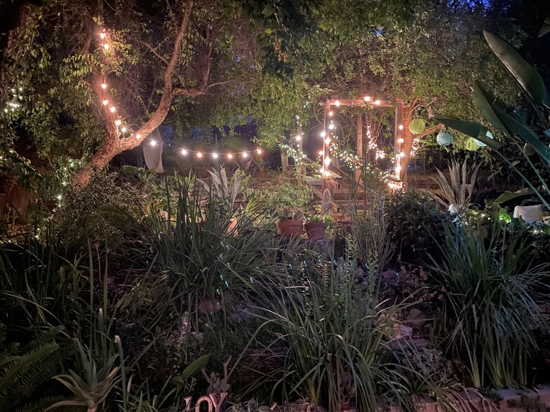 Garden by night - 2528 Panorama Ter