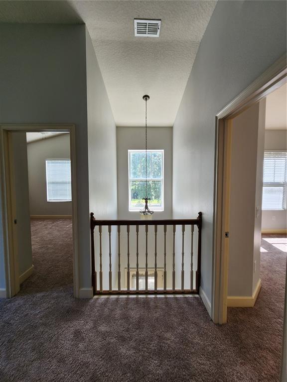 Building Photo - 3348 Cat Brier Tr