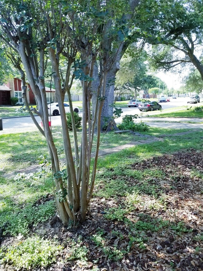 Building Photo - 3731 Westheimer Pl Dr