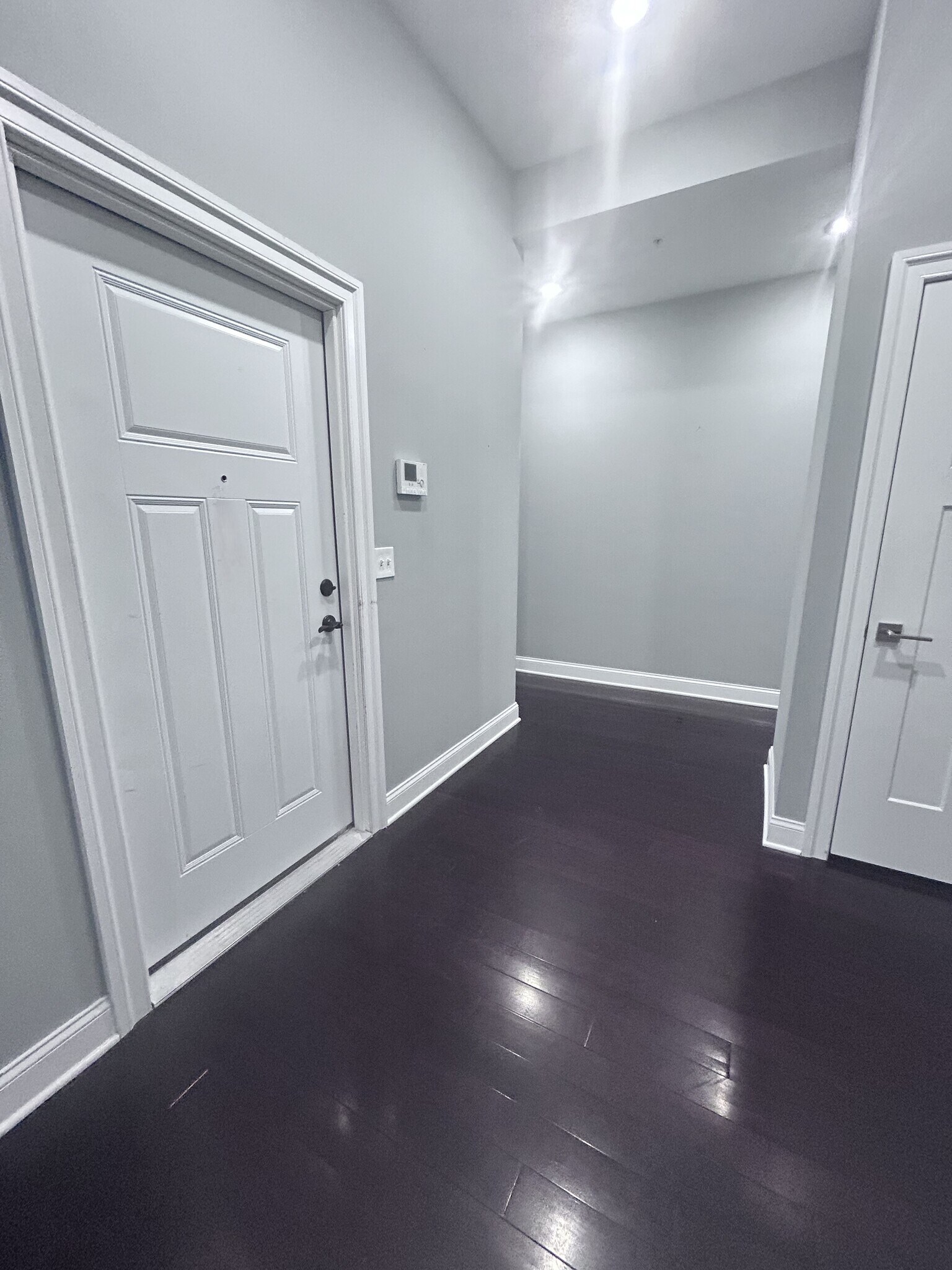 Inside Entrance - 13 Chester St