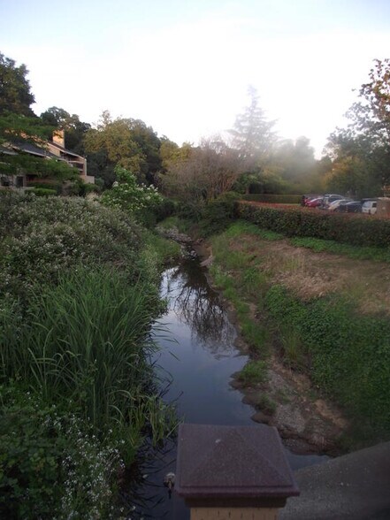 Beautiful Grounds - 9200 Madison Ave