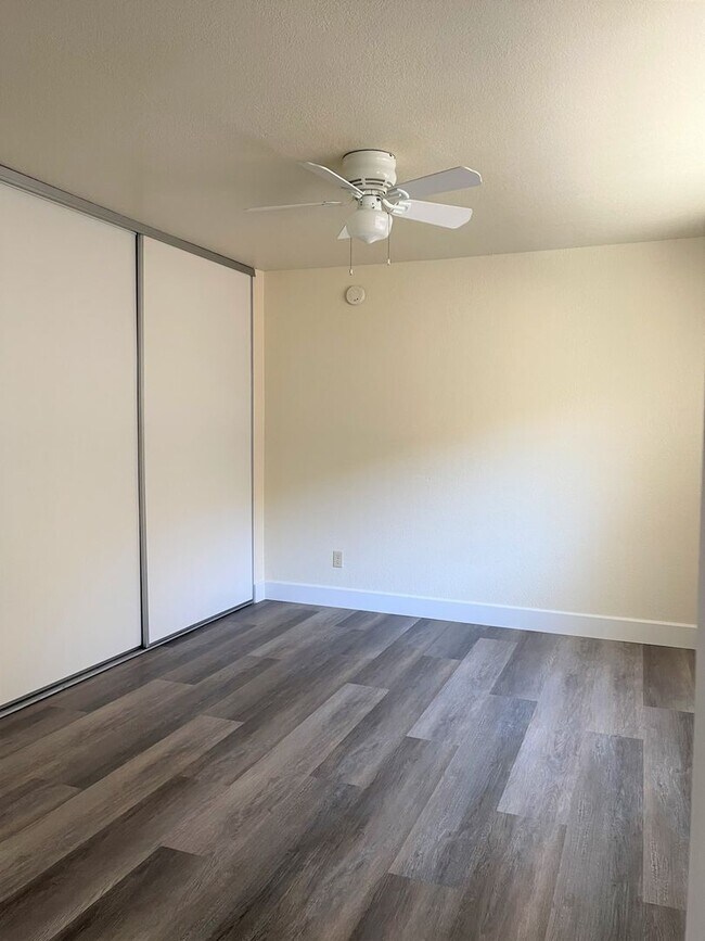 Building Photo - Open and Spacious 2 Bedroom, 1 Bathroom Apartment in San Pedro