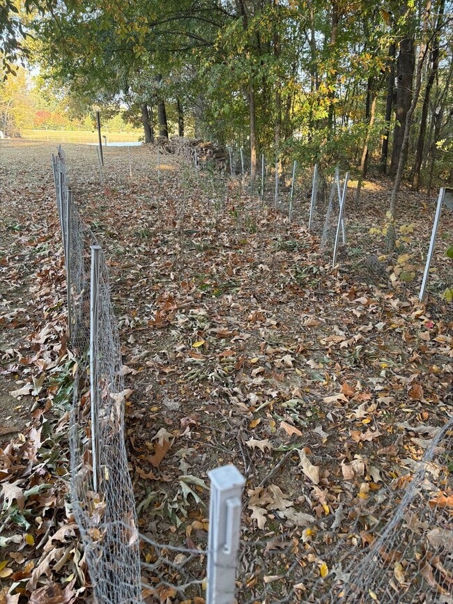 Building Photo - Custom- Built, Log Home in Martin, TN! (WEEKLY RENTAL ONLY)