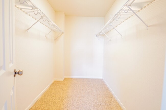 Building Photo - 18014 Shady Cypress Ln