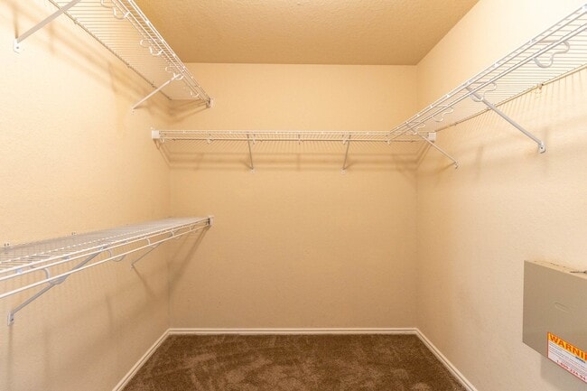 Building Photo - 2476 Medina Dr