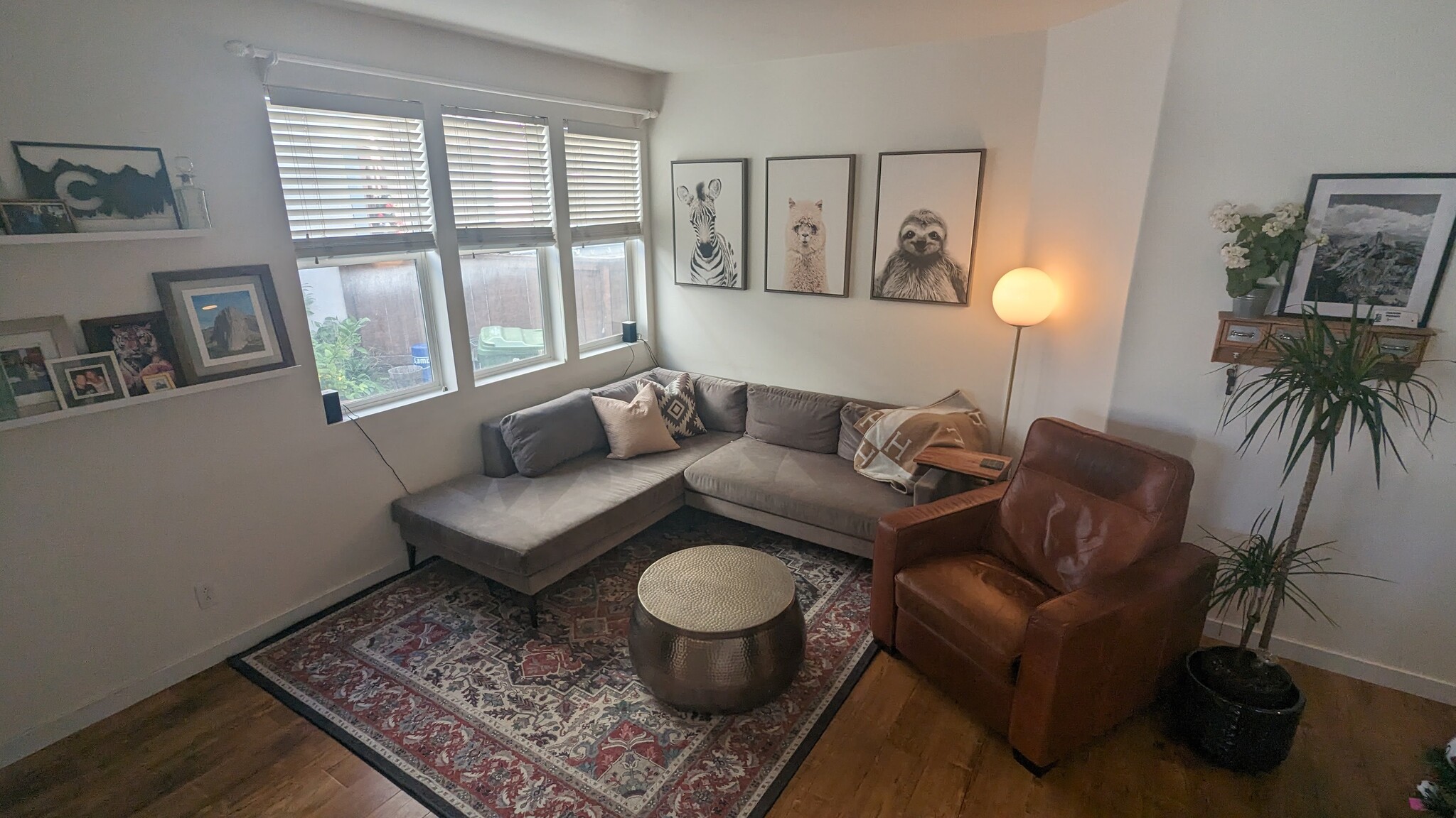 Building Photo - 1554 Plymouth Ln