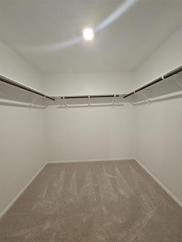 Building Photo - 9109 Thrasher Trl