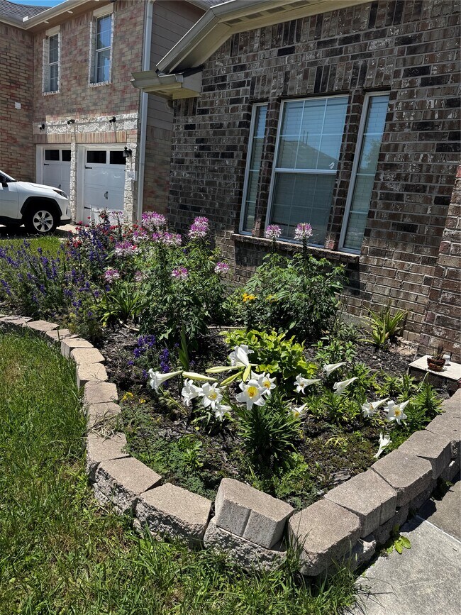 Building Photo - 9311 Camelia Crest Ln