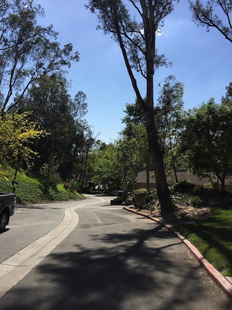 main drive onto property - 600 Central Ave