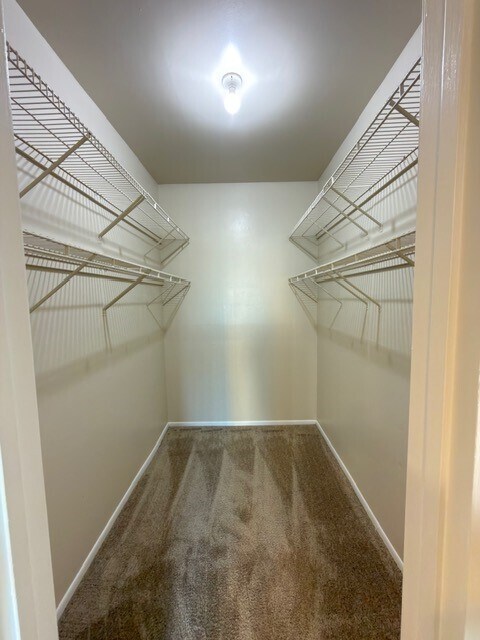 Building Photo - 1306 Marina Bay Dr