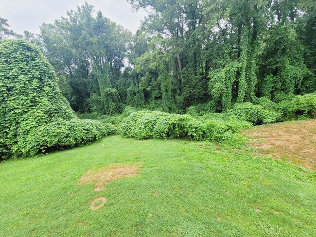 Building Photo - Newly Renovated Brick Ranch with a Basement!