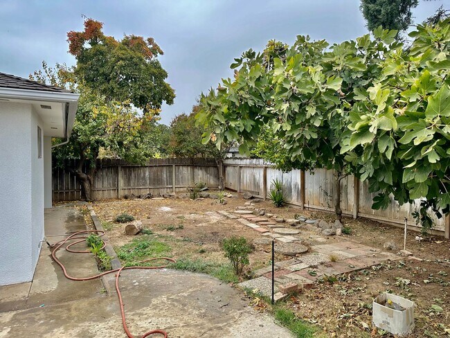 Building Photo - Spacious North Fresno 4/3 with Pool