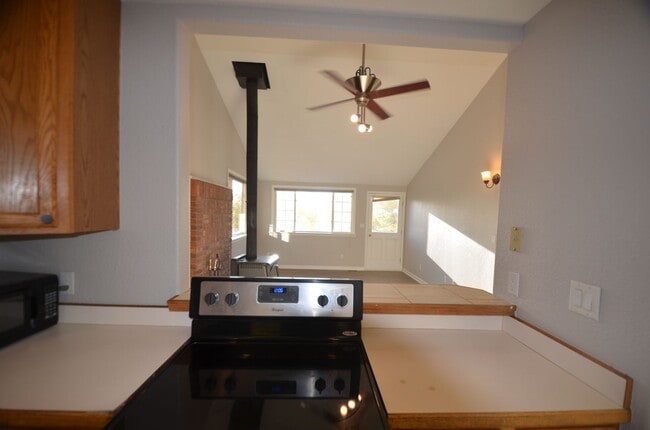 Building Photo - Fairplay home available Now- large fenced yard - Mountain views! Year lease!