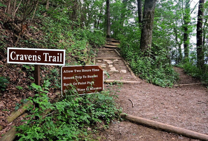 Nature steps from home! - 64 Webb Cove Rd