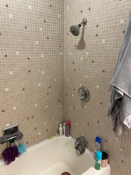 down bath - 1816 W Arrowhead Plz