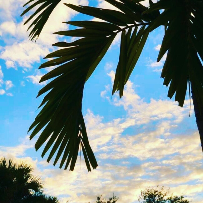 Primary Photo - 6078 Dusenburg Rd