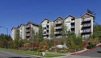 Building Photo - Sofi At Forest Heights