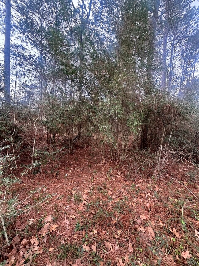 Building Photo - 54 Erin Dr