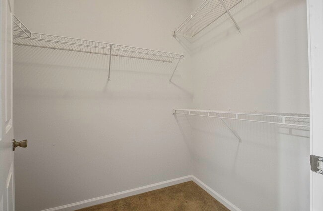 Building Photo - 1213 Rosewood Ln