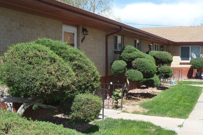 Building Photo - Newly Renovated 2BR | Courtyard & back patio | Lots of natural light