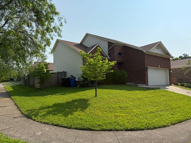 Building Photo - Experience Bright Living in This Stunning ...