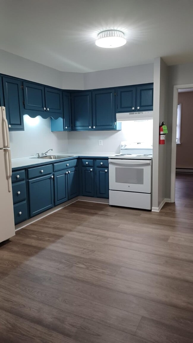 Self Cleaning Oven w/Fan Hood - Telford Apartments