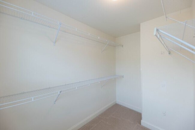 Building Photo - 1137 Woodbury Falls Ct