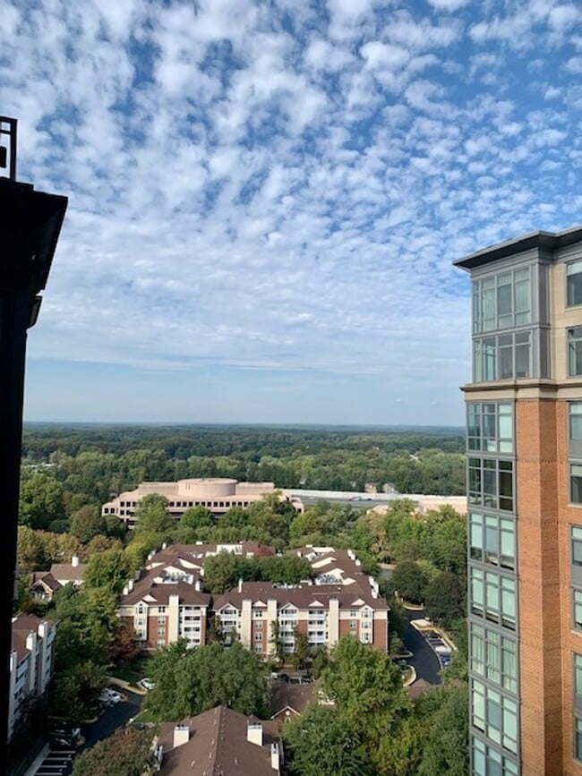 Building Photo - Beautiful 1 BR plus den 2 BA luxury condo ...