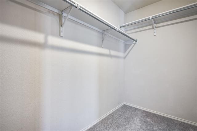 Building Photo - 2413 Briar Forest Dr