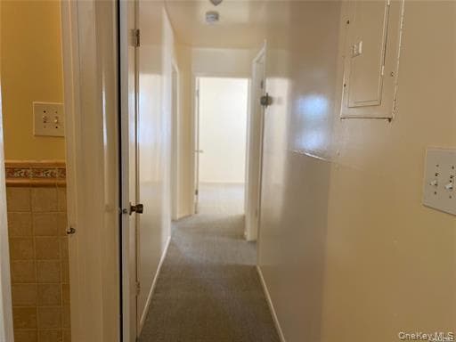 Building Photo - 231-24 Lansing Ave