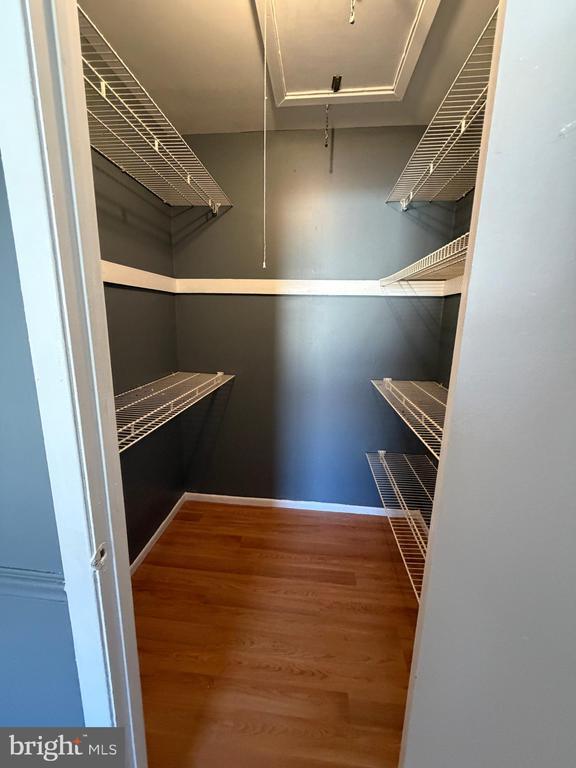 Building Photo - 2703 Mimosa Ct