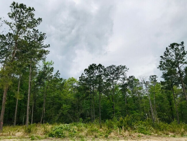 Building Photo - 6781 SC-66