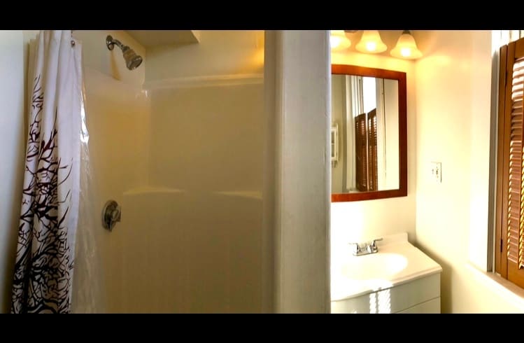 stand up shower and sink bathroom - 51 Crandall St