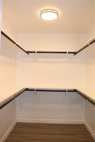 Building Photo - 1425 Knottingham Dr