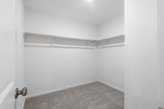 Building Photo - 1506 Amber Skies Ln