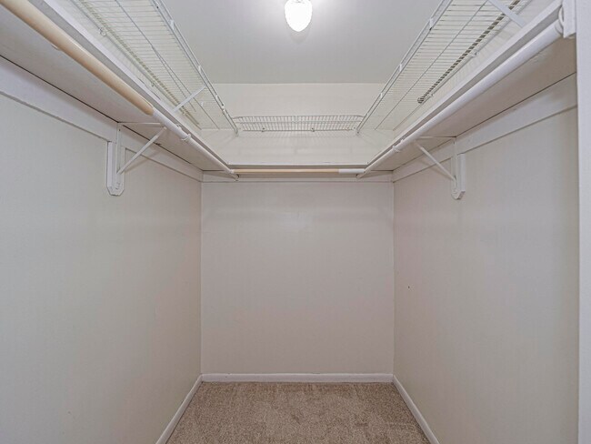 Building Photo - 4890 Bethel Creek Dr