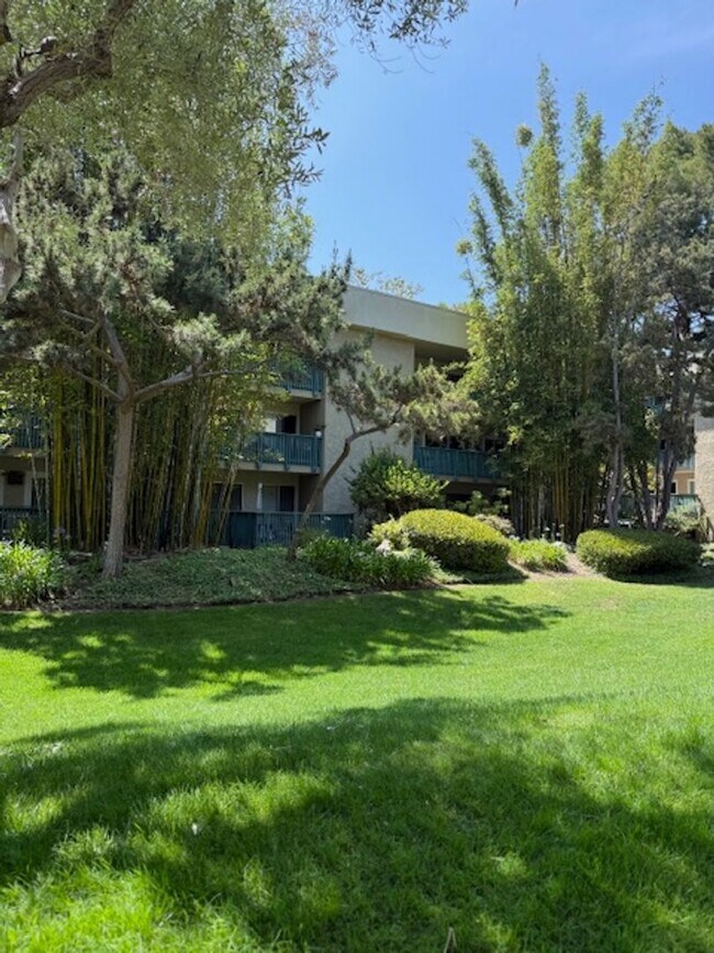 Building Photo - Top floor, 1 Bedroom, 1 Bath Condo in Ston...