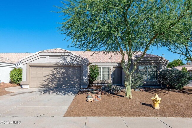 Primary Photo - 2366 E Cathy Ct